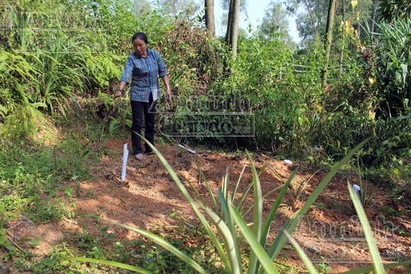Bố nghi phạm tự đào huyệt chôn mình khi biết con trai là kẻ giết người ảnh 3