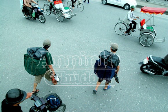 “Lạc đà” phố cũ ảnh 5