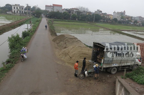 Mập mờ buôn bán gia cầm ở địa bàn giáp ranh, "né" kiểm dịch ảnh 2