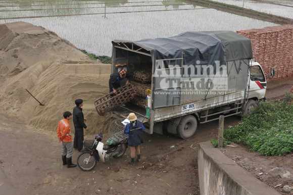 Mập mờ buôn bán gia cầm ở địa bàn giáp ranh, "né" kiểm dịch ảnh 1