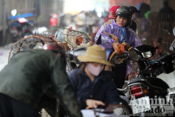 Lo lắng dịch cúm gia cầm, chợ Hà Vĩ đìu hiu, ế ẩm ảnh 2