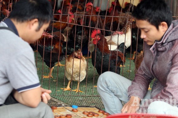 Lo lắng dịch cúm gia cầm, chợ Hà Vĩ đìu hiu, ế ẩm ảnh 3