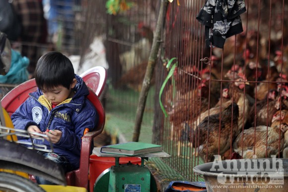 Lo lắng dịch cúm gia cầm, chợ Hà Vĩ đìu hiu, ế ẩm ảnh 10