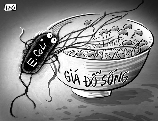 Ăn chín uống sôi cho lành ảnh 1