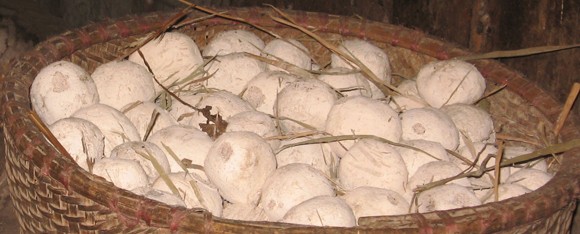 Cay nồng rượu ngô Bản Phố ảnh 3