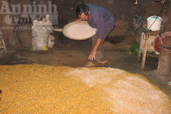 Cay nồng rượu ngô Bản Phố ảnh 5