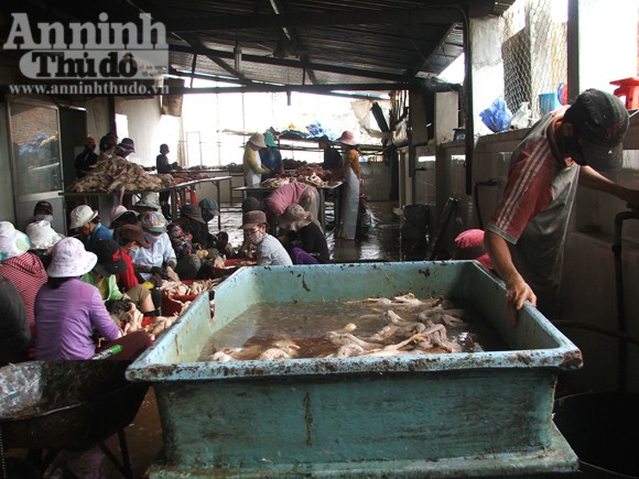 Nhà báo bị tấn công, “giam” trong xưởng vịt ảnh 2