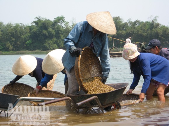 Lay lắt làng Giang Hến... ảnh 4