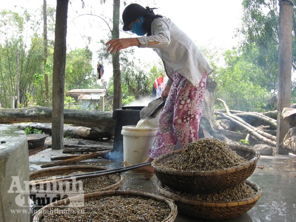 Lay lắt làng Giang Hến... ảnh 7