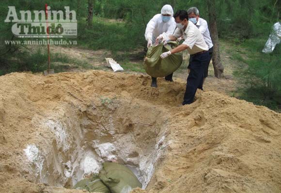 Cán bộ thú y làm ngơ để lò mổ giết thịt lợn nhiễm bệnh ảnh 2