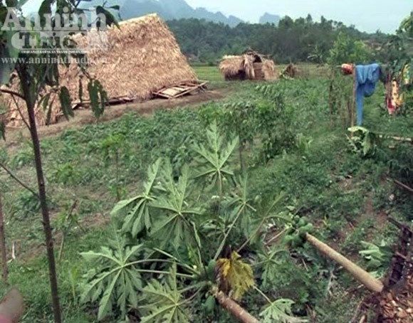 Lốc xoáy tàn phá hơn 20 ngôi nhà, nhiều người bị thương ảnh 3