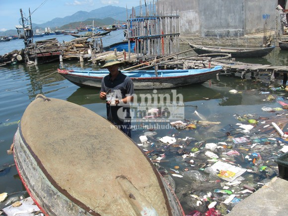 Vô tư xả thải: vịnh Cam Ranh đang thành... "biển thối" ảnh 3