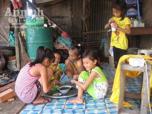 Vô tư xả thải: vịnh Cam Ranh đang thành... "biển thối" ảnh 5
