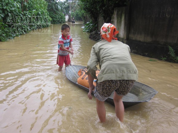 Nghệ An: 2.430 ngôi nhà chìm trong biển nước ảnh 4