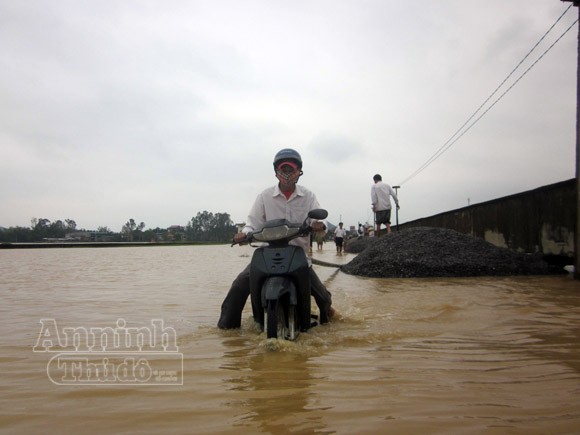 Nghệ An: 2.430 ngôi nhà chìm trong biển nước ảnh 1