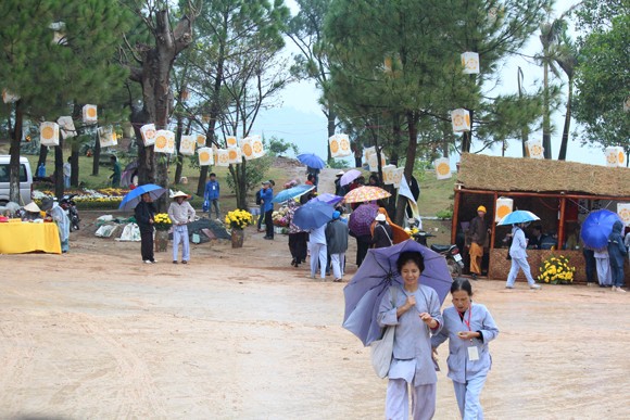 Về Quảng Ninh ghé thăm lễ hội hoa cúc ảnh 12