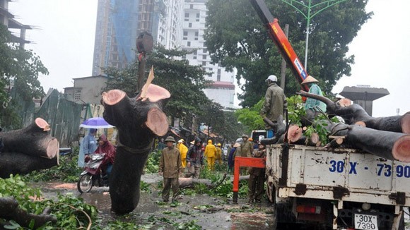 Đã có 13 người thiệt mạng do bão số 14 ảnh 4