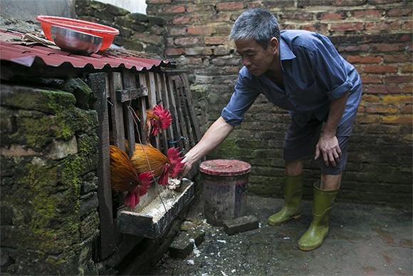 Thổ Hà, ngôi làng cổ kính bên dòng sông Cầu thơ mộng ảnh 8