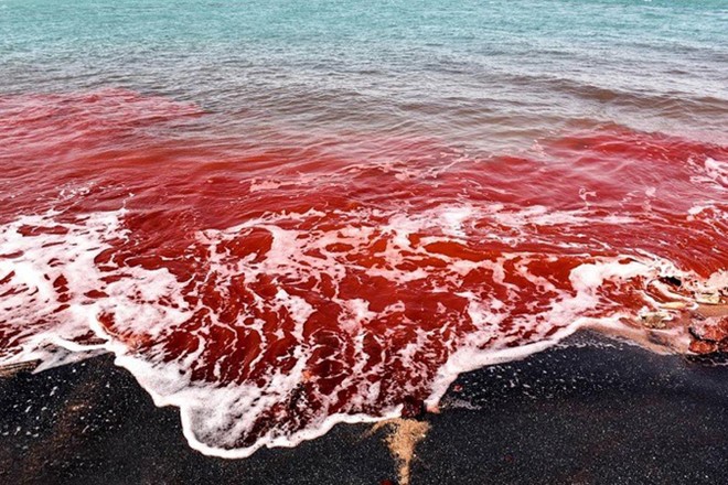[ẢNH] ‘Giải mã’ bãi biển kỳ lạ có màu đỏ như máu ở đảo Hormuz ảnh 1