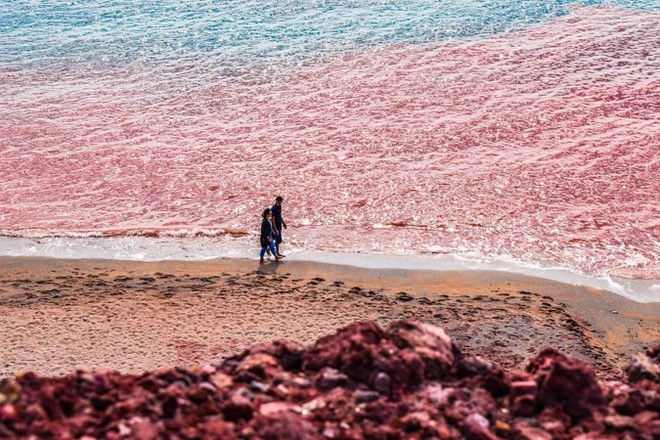[ẢNH] ‘Giải mã’ bãi biển kỳ lạ có màu đỏ như máu ở đảo Hormuz ảnh 7