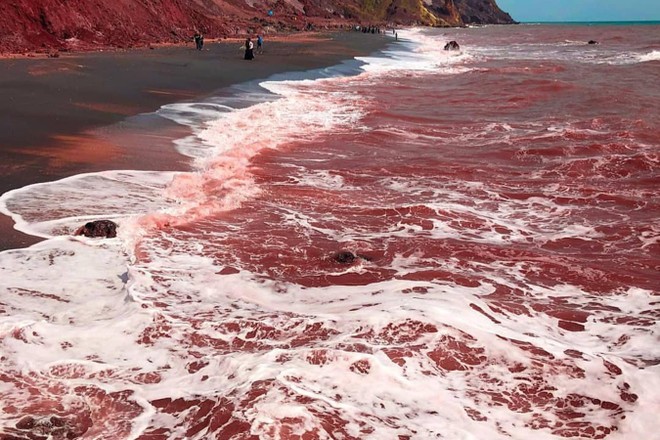 [ẢNH] ‘Giải mã’ bãi biển kỳ lạ có màu đỏ như máu ở đảo Hormuz ảnh 8
