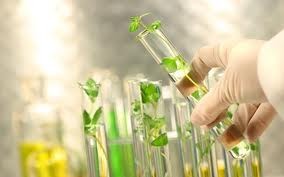Thực phẩm biến đổi gene: Phát kiến vĩ đại hay thảm hoạ công nghệ? ảnh 2