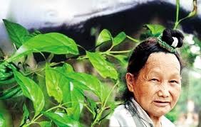 Người bà tàn độc giết chồng, con gái và cháu nội bằng lá ngón ảnh 2