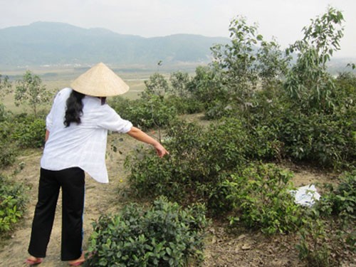 Chồng hại vợ dã man trong ngày mừng thọ bố ảnh 2