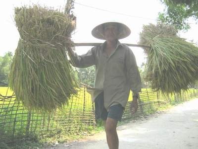 Những người đàn ông không lấy vợ vì... nghèo và sĩ ảnh 1
