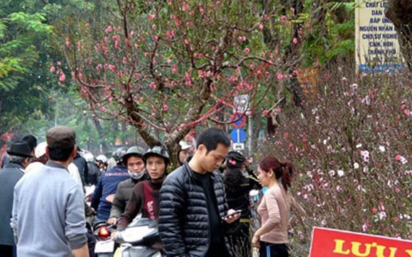 Nghỉ Tết nguyên đán Giáp Ngọ 2014 liền 9 ngày ảnh 1