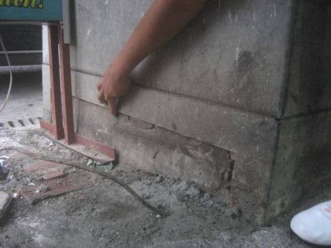 Cây “khủng” đè tủ điện hạ thế ảnh 5
