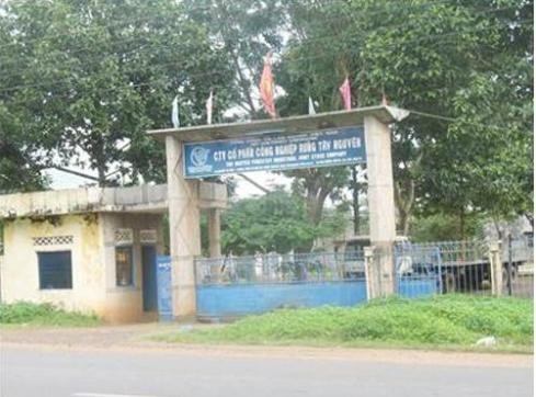 Khởi tố nguyên Tổng Giám đốc TCty lâm nghiệp Việt Nam ảnh 1