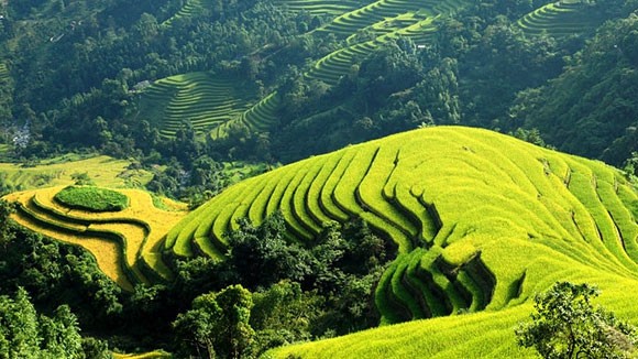 Giải pháp phải kèm theo chế tài ảnh 1