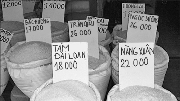 Gạo tăng giá do tin đồn thất thiệt ảnh 1