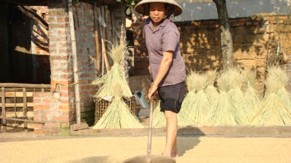 Lương thực tăng giá, vựa lúa tăng đói nghèo ảnh 1