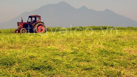 Ảnh đẹp Ba Vì ảnh 1