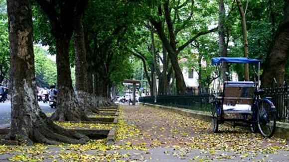 Giấc mơ phố ảnh 1