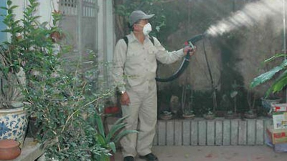 Nguy cơ từ phòng chống sốt xuất huyết tùy tiện ảnh 1