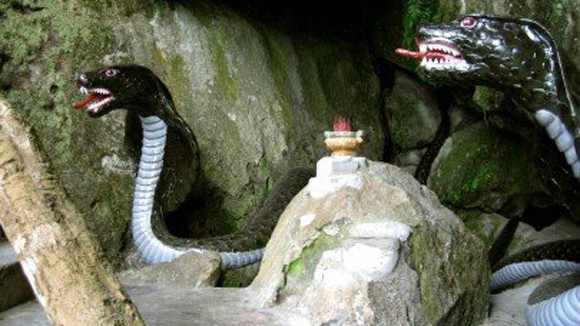 Rắn thần chỉ là sản phẩm của trí tưởng tượng ảnh 1