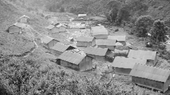 Đông ấm giữa đại ngàn ảnh 1