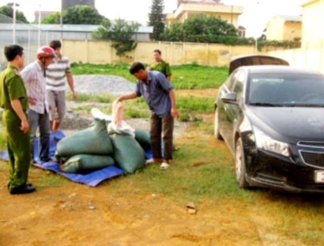 Chở nầm lợn nhập lậu bằng xe đeo biển kiểm soát giả ảnh 1