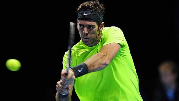 Đánh bại Federer, Del Potro giành vé ảnh 1