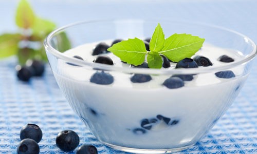 5 lý do nên ăn sữa chua hàng ngày ảnh 1