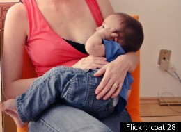 Bị bắt vì đột nhập nhà cho con người khác bú ảnh 1