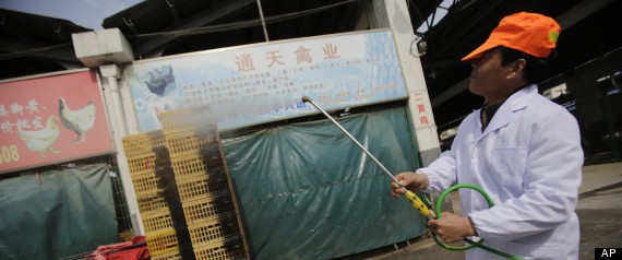 Trung Quốc báo động dịch cúm gia cầm H7N9 ảnh 1