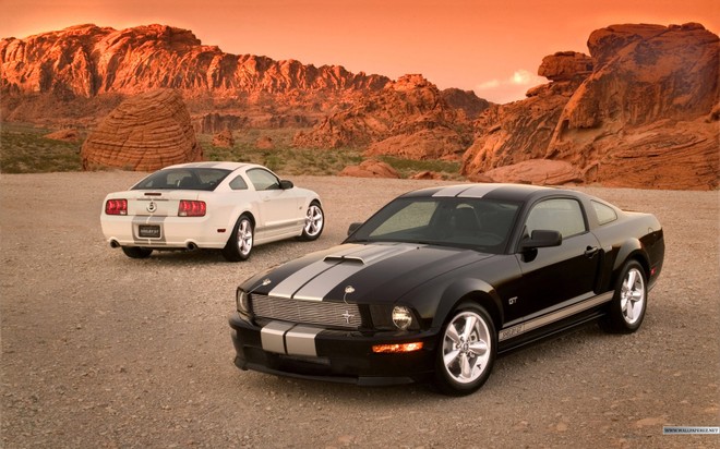 Video ấn tượng về lịch sử 50 năm phát triển Ford Mustang ảnh 1