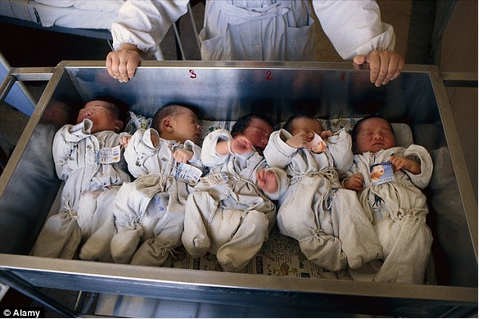 Trung Quốc triệt phá đường dây buôn bán hàng trăm trẻ sơ sinh ảnh 1