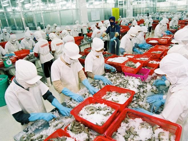 Cảnh báo “thủ phủ” tôm Trung Quốc tạm dừng nhập khẩu tôm Việt Nam và nhiều nước