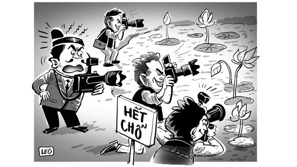 Bát nháo đầm sen ảnh 1