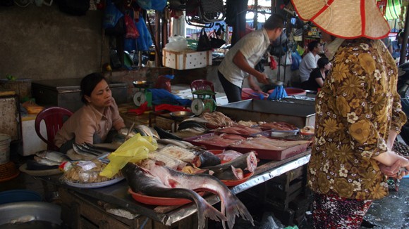 Điện, than “đè” lên giá ảnh 1